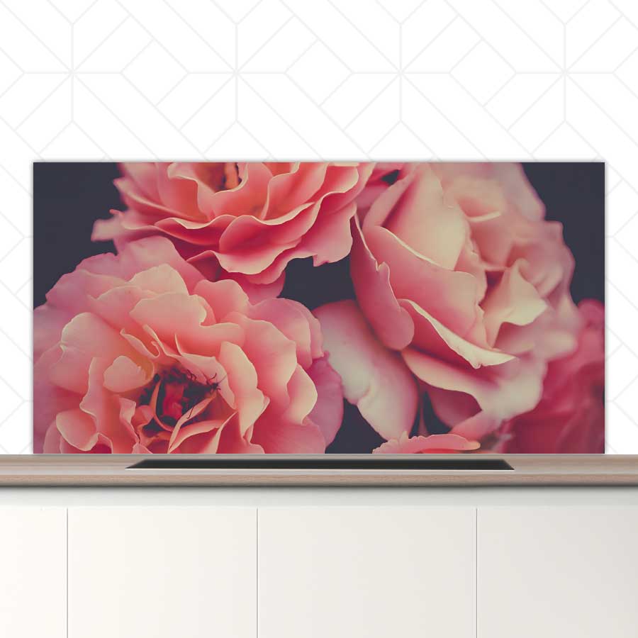 Spatscherm - Rozen close-up