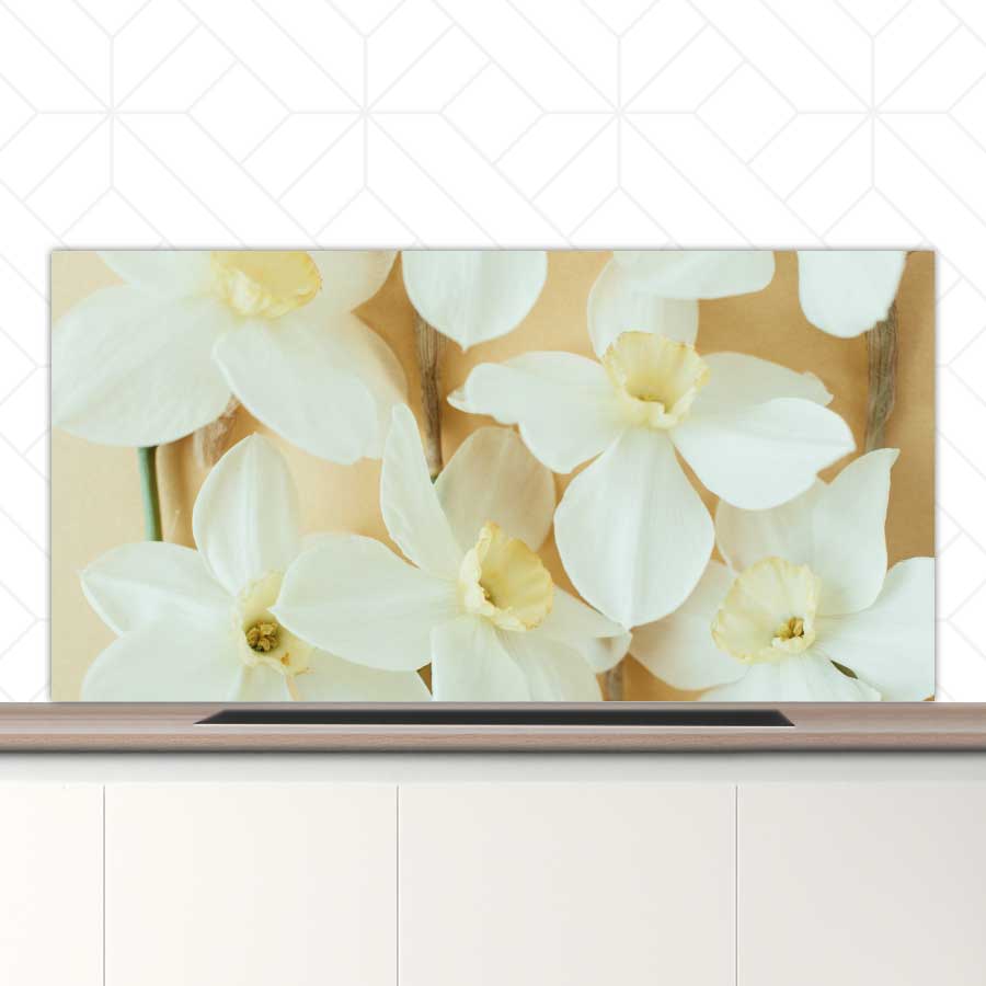 Spatscherm - Narcissen