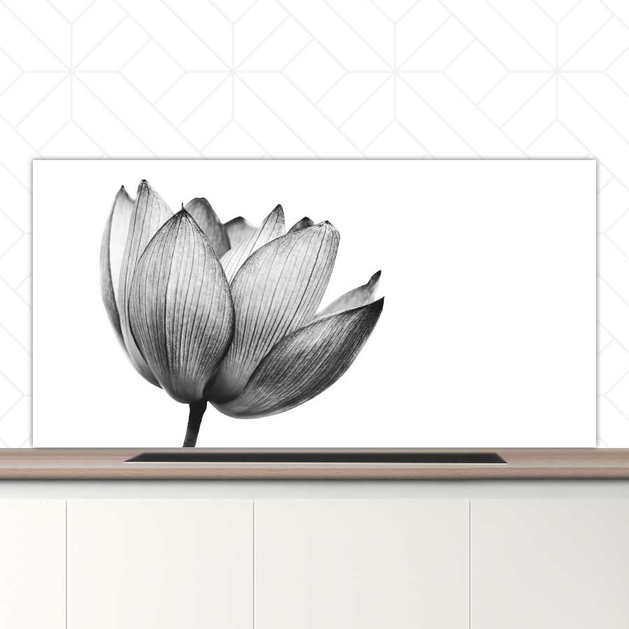 Spatscherm - Lotus in zwart-wit