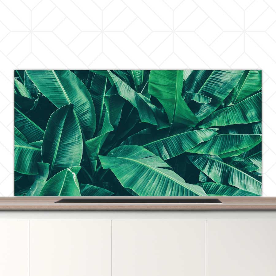 Spatscherm - Tropische bladeren