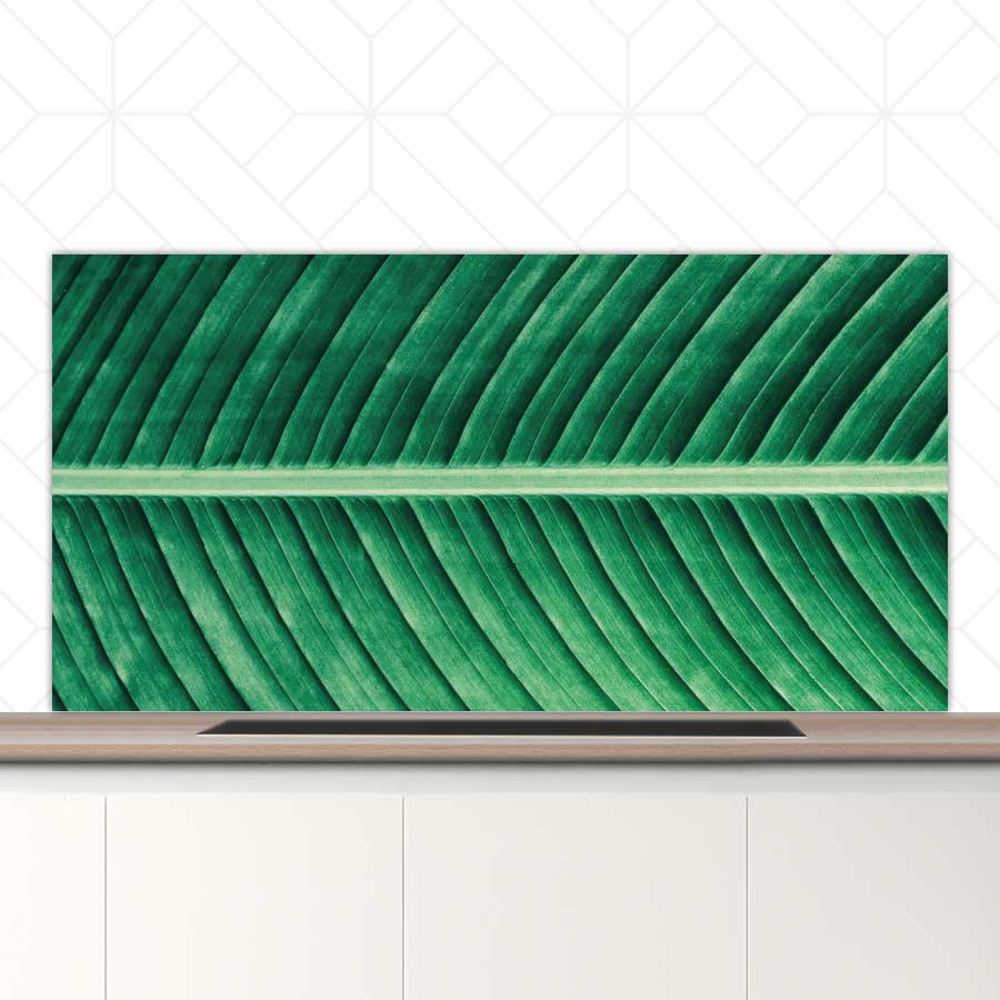 Spatscherm - Groen blad