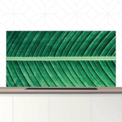 Spatscherm - Groen blad