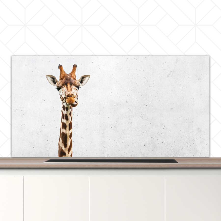 Spatscherm - Funny giraf beton