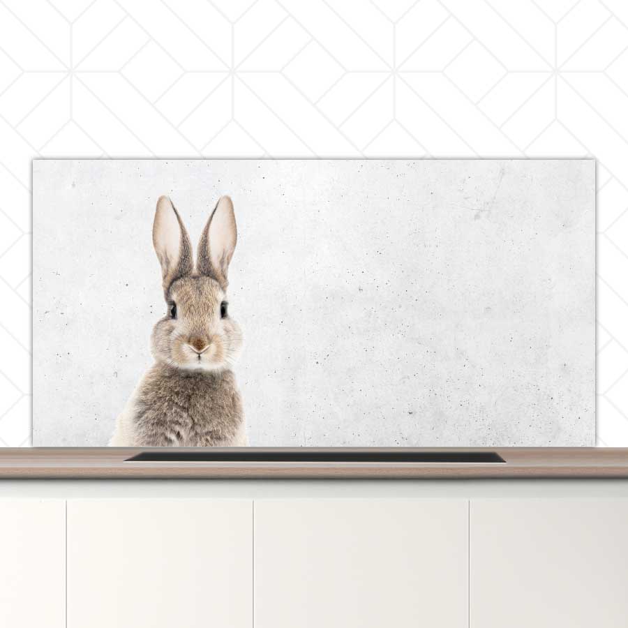 Spatscherm - Funny konijn beton