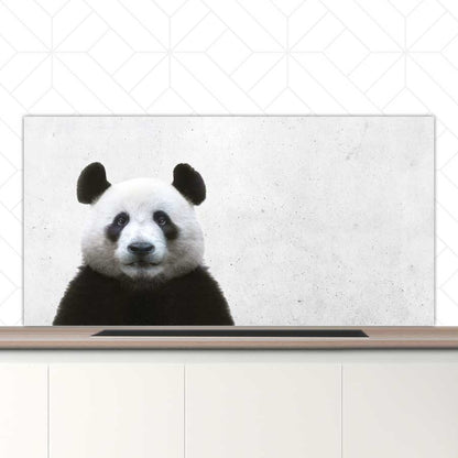 Spatscherm - Funny panda beton