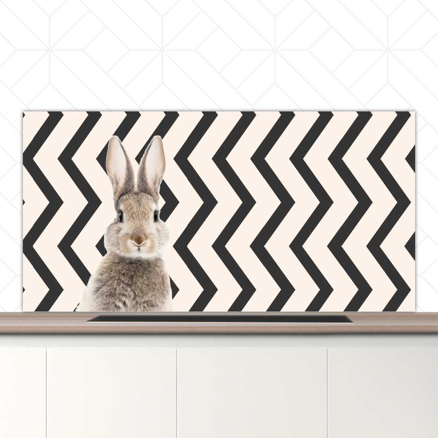 Spatscherm - Funny konijn zigzag