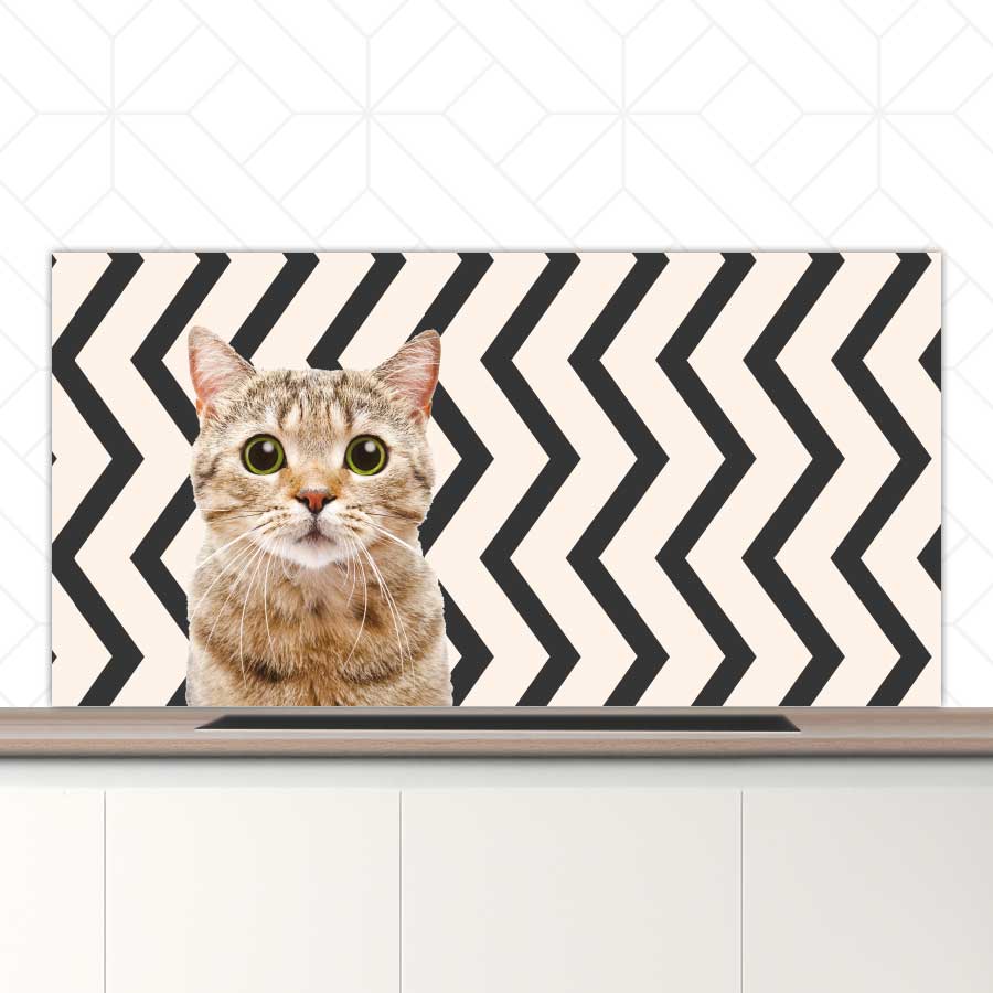 Spatscherm - Funny kat zigzag