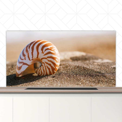 Spatscherm - Zeeschelp