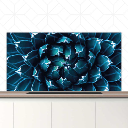 Spatscherm - Blauwe agave