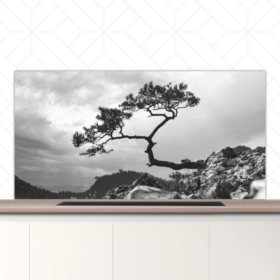 Spatscherm - Overhangende boom