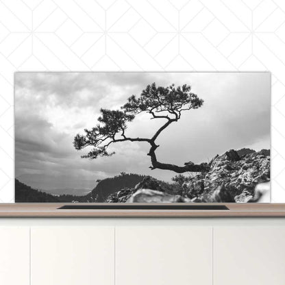 Spatscherm - Overhangende boom