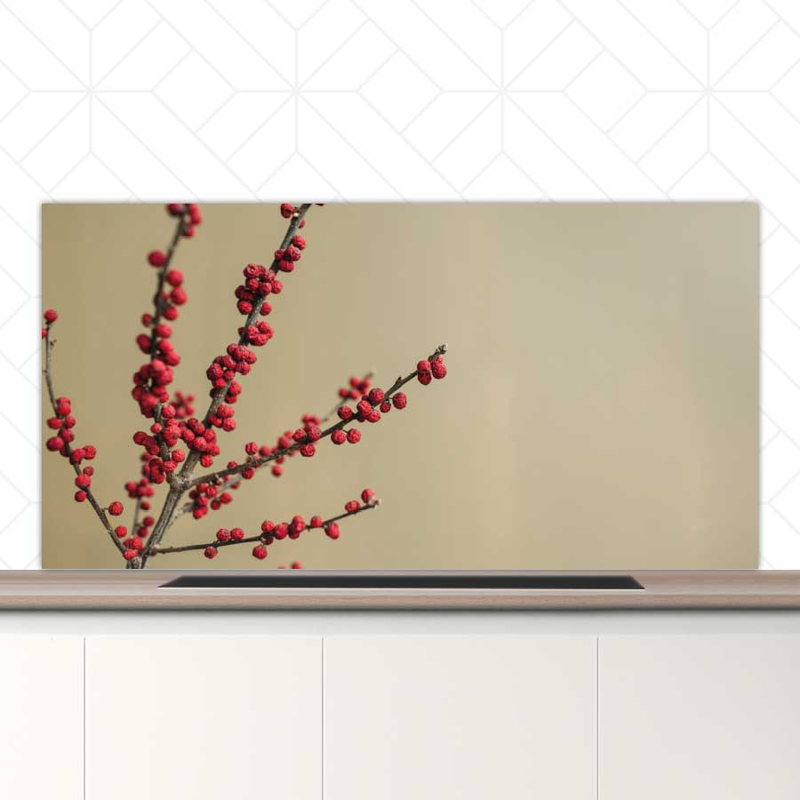 Spatscherm - Rode bessen