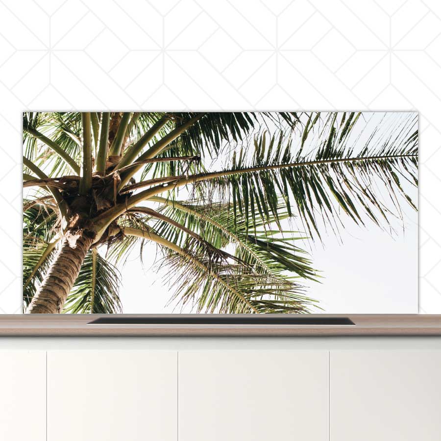 Spatscherm - Palmstrand