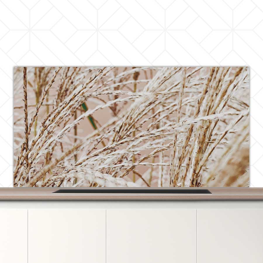 Spatscherm - Droge rietstengels