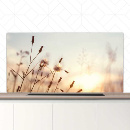 Spatscherm - Dandelion zonsondergang