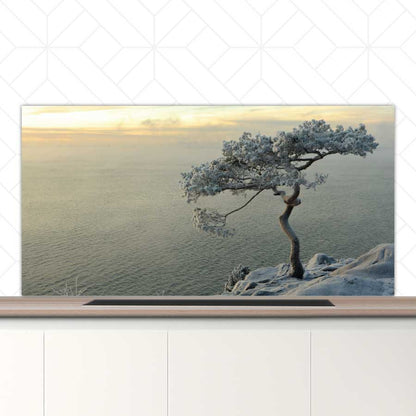 Spatscherm - Winterboom