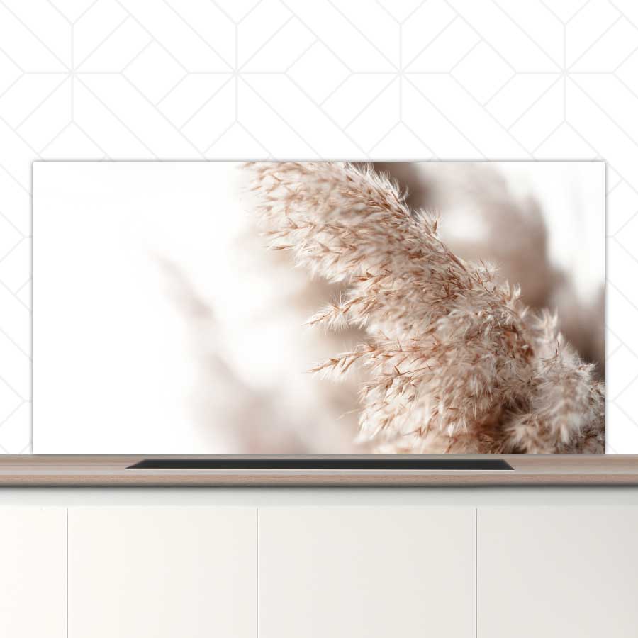 Spatscherm - Pampas gras