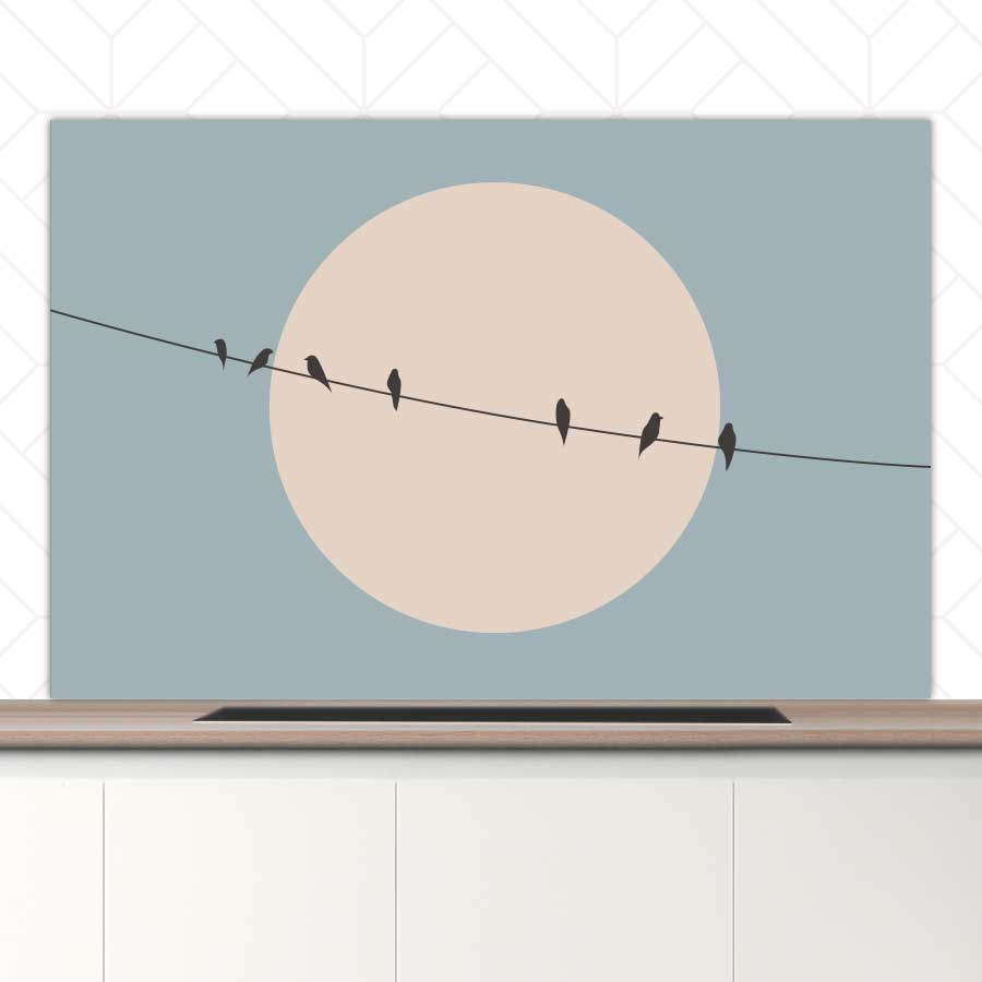 Spatscherm - Vogels op een draad