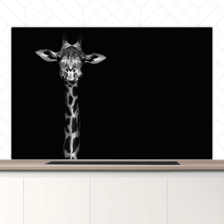 Spatscherm - Giraf