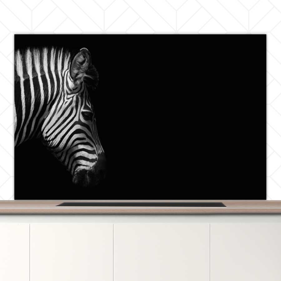 Spatscherm - Zebra