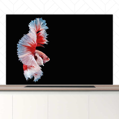 Spatscherm - Betta vis