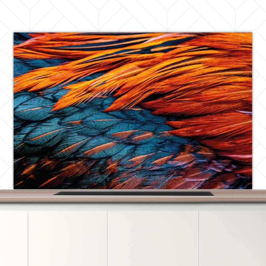 Spatscherm - Hanenveer