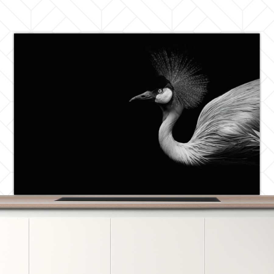 Spatscherm - Kraanvogel