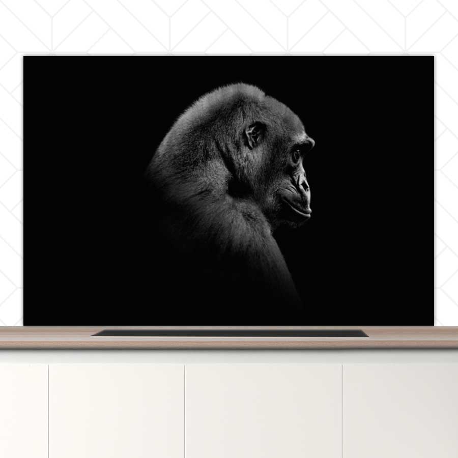 Spatscherm - Gorilla