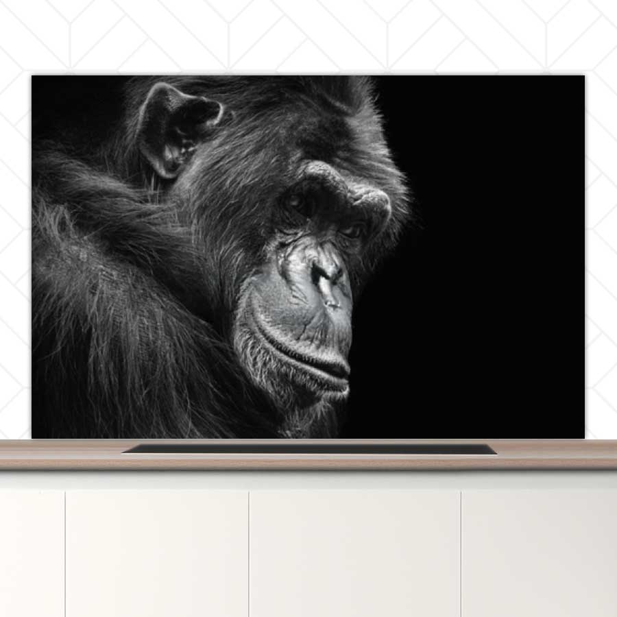 Spatscherm - Chimpansee