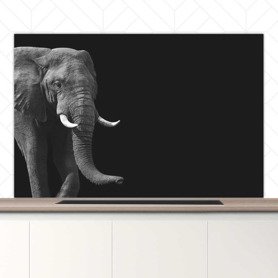 Spatscherm - Afrikaanse olifant