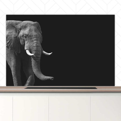 Spatscherm - Afrikaanse olifant