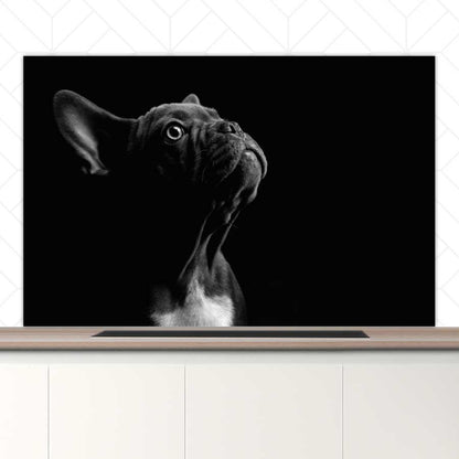 Spatscherm - Franse bulldog