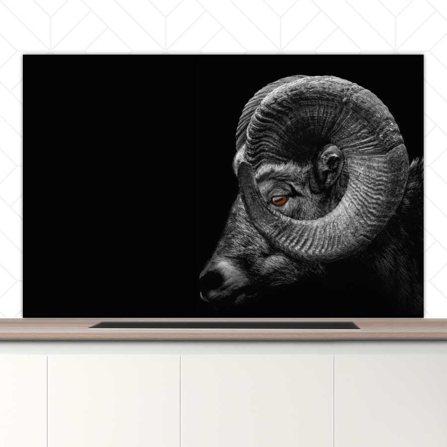 Spatscherm - Ram