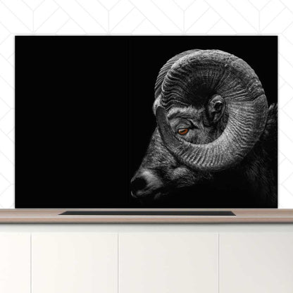 Spatscherm - Ram