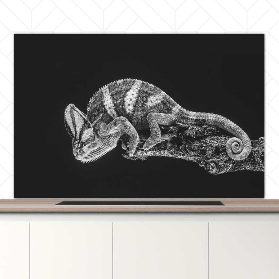 Spatscherm - Kameleon