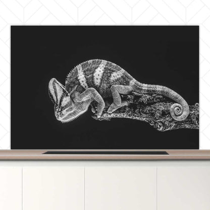 Spatscherm - Kameleon