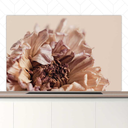 Spatscherm - Gedroogde chrysant