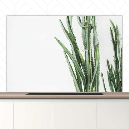 Spatscherm - Cactus