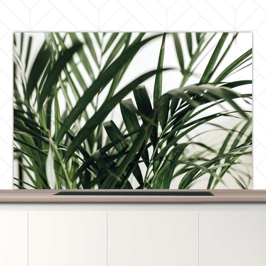 Spatscherm - Palm bladeren