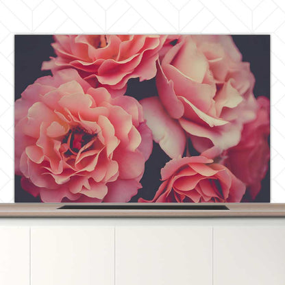 Spatscherm - Rozen close-up