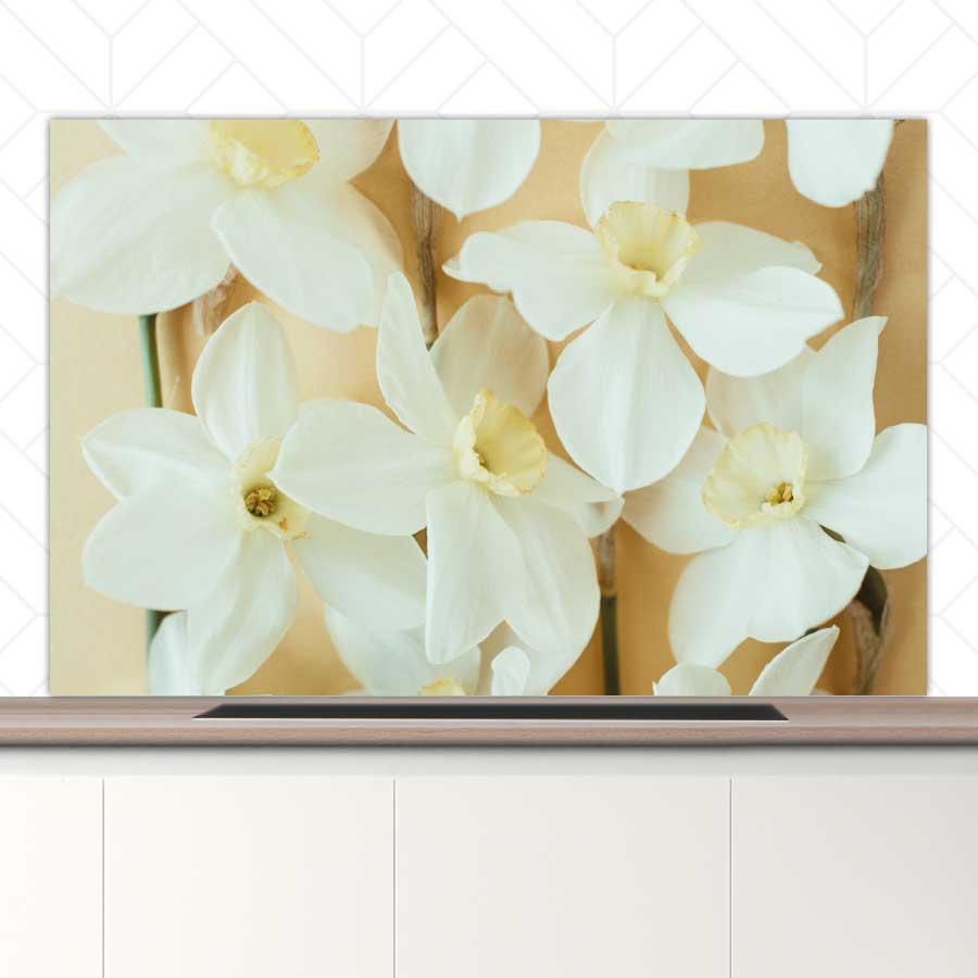 Spatscherm - Narcissen