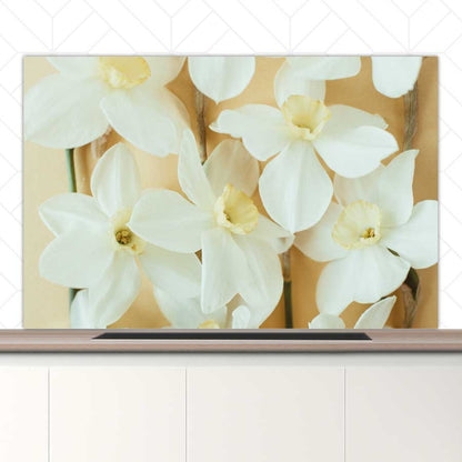 Spatscherm - Narcissen