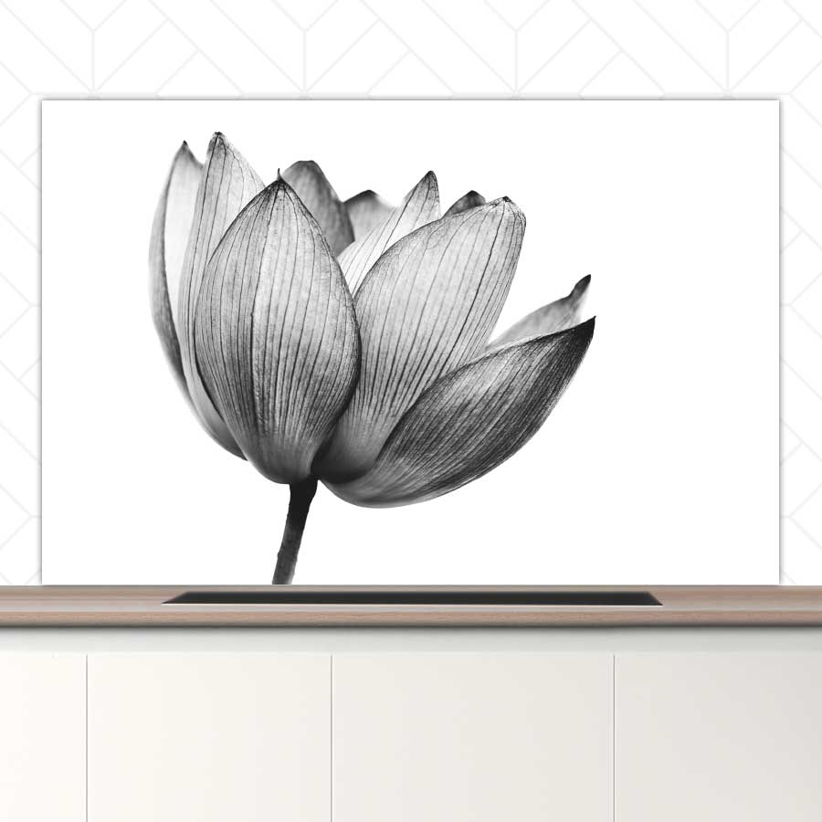 Spatscherm - Lotus in zwart-wit
