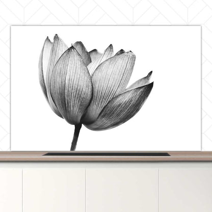 Spatscherm - Lotus in zwart-wit