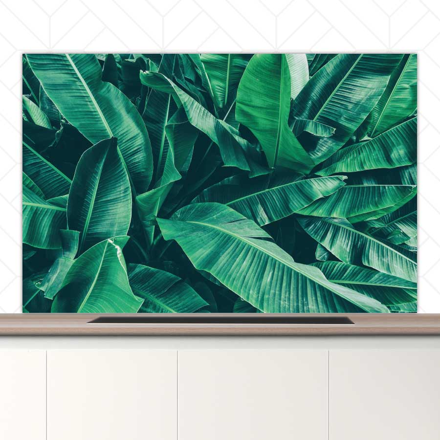 Spatscherm - Tropische bladeren