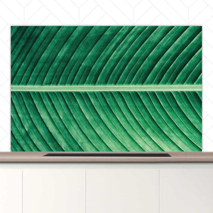 Spatscherm - Groen blad