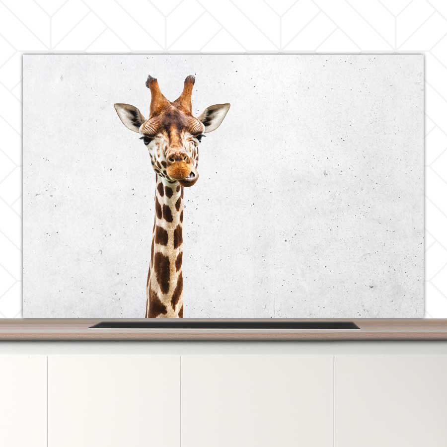 Spatscherm - Funny giraf beton