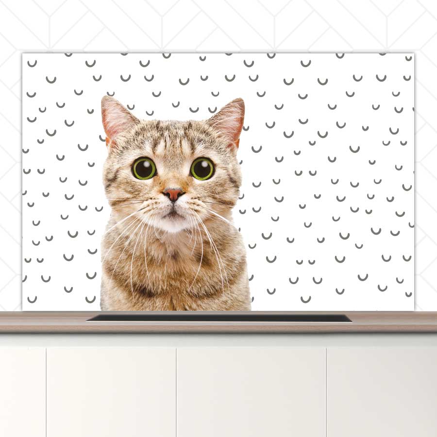 Spatscherm - Funny kat fugler