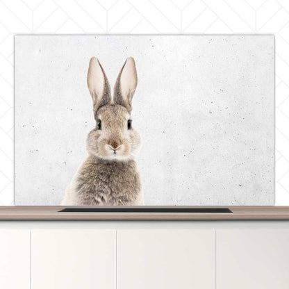 Spatscherm - Funny konijn beton