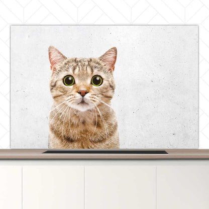 Spatscherm - Funny kat beton